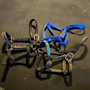 Halter bundle‼️Read description‼️